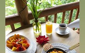 La Nube Eco-Hotel